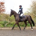 Coldstream Edrom Fly Veil - Navy additional 7