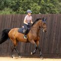 Coldstream Edrom Fly Veil - Navy additional 13