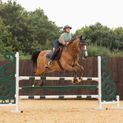 Coldstream Edrom Fly Veil - Navy additional 4