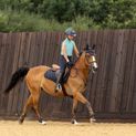 Coldstream Edrom Fly Veil - Navy additional 12
