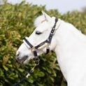 Coldstream Langlee Luxury Head Collar &amp; Lead Rope - Navy additional 2