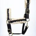 Coldstream Langlee Luxury Head Collar &amp; Lead Rope - Navy additional 1