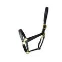 Coldstream Leather Padded Head Collar - Brown additional 3