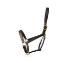 Coldstream Leather Padded Head Collar - Brown additional 2