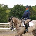 Coldstream Lennel Base Layer - C Blue/Grey additional 6