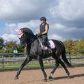 Coldstream Marygold Fly Veil - Blush Pink additional 2