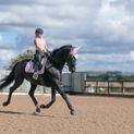 Coldstream Marygold Fly Veil - Blush Pink additional 3