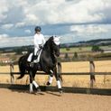 Coldstream Marygold Fly Veil - White additional 2