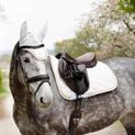 Coldstream Marygold Fly Veil - White additional 5