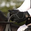 Coldstream Swinton Combi Mesh Summer Riding Gloves - Black additional 11