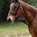 Hy Equestrian Bib Martingale - Black additional 1