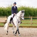 Hy Equestrian Children's Melton Riding Tights - White additional 6
