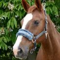 Hy Equestrian Dazzle Head Collar - Powder Blue additional 2