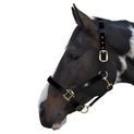 Hy Equestrian Deluxe Padded Head Collar - Black additional 1