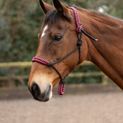Hy Equestrian Double Braid Rope Halter - Cob/Full additional 1