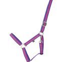 Hy Equestrian Duo Head Collar - Purple/Fuchsia additional 1