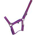 Hy Equestrian Duo Head Collar - Purple/Fuchsia additional 2