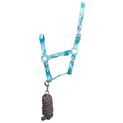 Hy Equestrian DynaForce Head Collar &amp; Lead Rope - Pacific/Grey additional 1