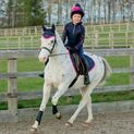 Hy Equestrian DynaMizs Ecliptic Fly Veil - Navy/Magenta additional 2