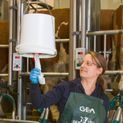 Kerbl Udder Cleaning Udder Towels - Wet additional 3