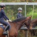 Hy Equestrian Elevate Allure Mizs Riding Tights - Navy/Rose Gold additional 12