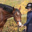 Hy Equestrian Elevate Allure Mizs Riding Tights - Navy/Rose Gold additional 5