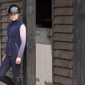 Hy Equestrian Elevate Allure Mizs Riding Tights - Navy/Rose Gold additional 34