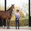 Hy Equestrian Elevate Allure Mizs Riding Tights - Navy/Rose Gold additional 11