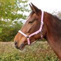 Hy Equestrian Glitzy Headcollar - Pink additional 4
