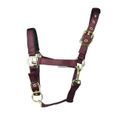 Hy Equestrian Grand Prix Head Collar - Chocolate Brown additional 2