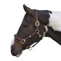 Hy Equestrian Grand Prix Head Collar - Chocolate Brown additional 1