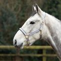 Hy Equestrian Grand Prix Head Collar - Grey additional 2