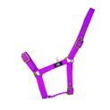 Hy Equestrian Holly Fully Adjustable Head Collar - Fuchsia additional 3