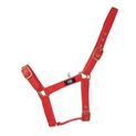 Hy Equestrian Holly Fully Adjustable Head Collar - Red additional 1