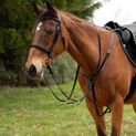 Hy Equestrian Hunting Breastplate - Black additional 1