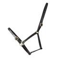 Hy Equestrian Leather Foal Head Collar - Black additional 3