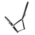 Hy Equestrian Leather Foal Head Collar - Black additional 3