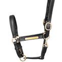 Hy Equestrian Leather Head Collar - Black additional 1
