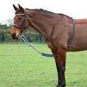 Hy Equestrian Lunging Aid additional 2