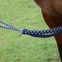 Hy Equestrian Lunging Aid additional 4