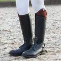 Hy Equestrian Masera Riding Boot - Black/Oxblood additional 2