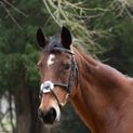 Hy Equestrian Mexican Grackle Bridle with Rubber Grip Reins - Brown additional 2