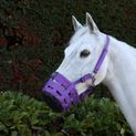 Hy Equestrian Muzzle - Purple additional 2