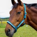 Hy Equestrian Mystic Head Collar - Teal/Silver Dust additional 3