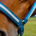 Hy Equestrian Mystic Head Collar - Teal/Silver Dust additional 2