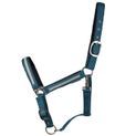 Hy Equestrian Mystic Head Collar - Teal/Silver Dust additional 1
