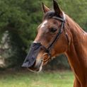 Hy Equestrian Nose Shield - Black additional 3