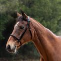 Hy Equestrian Padded Cavesson Bridle with Rubber Grip Reins - Black additional 1