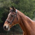 Hy Equestrian Padded Cavesson Bridle with Rubber Grip Reins - Brown additional 1