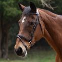 Hy Equestrian Padded Flash Bridle with Rubber Grip Reins - Brown additional 1